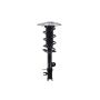 FCS Struts 1334309L Suspension Strut and Coil Spring Assembly