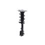 FCS Struts 1334309R Suspension Strut and Coil Spring Assembly