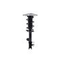 FCS Struts 1334309R Suspension Strut and Coil Spring Assembly