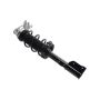 FCS Struts 1334309R Suspension Strut and Coil Spring Assembly