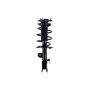 FCS Struts 1334317L Suspension Strut and Coil Spring Assembly