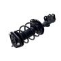 FCS Struts 1334317L Suspension Strut and Coil Spring Assembly