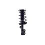 FCS Struts 1334317R Suspension Strut and Coil Spring Assembly