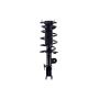 FCS Struts 1334317R Suspension Strut and Coil Spring Assembly