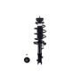 FCS Struts 1334319L Suspension Strut and Coil Spring Assembly