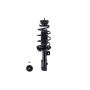 FCS Struts 1334319R Suspension Strut and Coil Spring Assembly