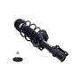 FCS Struts 1334319R Suspension Strut and Coil Spring Assembly