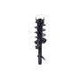FCS Struts 1334403L Suspension Strut and Coil Spring Assembly