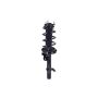 FCS Struts 1334403L Suspension Strut and Coil Spring Assembly