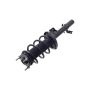 FCS Struts 1334403L Suspension Strut and Coil Spring Assembly