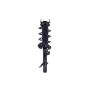 FCS Struts 1334403R Suspension Strut and Coil Spring Assembly