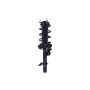 FCS Struts 1334403R Suspension Strut and Coil Spring Assembly
