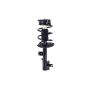 FCS Struts 1334410L Suspension Strut and Coil Spring Assembly