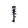 FCS Struts 1334410L Suspension Strut and Coil Spring Assembly