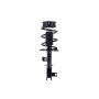 FCS Struts 1334410R Suspension Strut and Coil Spring Assembly