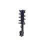 FCS Struts 1334415L Suspension Strut and Coil Spring Assembly