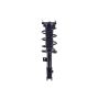 FCS Struts 1334415L Suspension Strut and Coil Spring Assembly