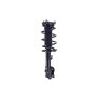 FCS Struts 1334415R Suspension Strut and Coil Spring Assembly