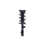 FCS Struts 1334415R Suspension Strut and Coil Spring Assembly