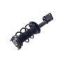 FCS Struts 1334415R Suspension Strut and Coil Spring Assembly
