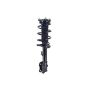 FCS Struts 1334416L Suspension Strut and Coil Spring Assembly