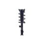 FCS Struts 1334416L Suspension Strut and Coil Spring Assembly