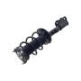 FCS Struts 1334416L Suspension Strut and Coil Spring Assembly