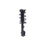 FCS Struts 1334416R Suspension Strut and Coil Spring Assembly