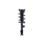 FCS Struts 1334416R Suspension Strut and Coil Spring Assembly