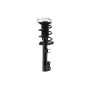 FCS Struts 1334432L Suspension Strut and Coil Spring Assembly