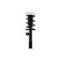 FCS Struts 1334432L Suspension Strut and Coil Spring Assembly