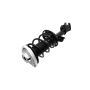 FCS Struts 1334432L Suspension Strut and Coil Spring Assembly