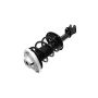 FCS Struts 1334432R Suspension Strut and Coil Spring Assembly