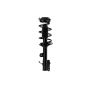 FCS Struts 1334433L Suspension Strut and Coil Spring Assembly