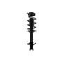 FCS Struts 1334433L Suspension Strut and Coil Spring Assembly