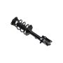 FCS Struts 1334433L Suspension Strut and Coil Spring Assembly