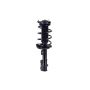 FCS Struts 1334434L Suspension Strut and Coil Spring Assembly