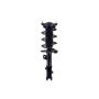 FCS Struts 1334434R Suspension Strut and Coil Spring Assembly