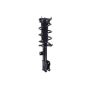 FCS Struts 1334438L Suspension Strut and Coil Spring Assembly