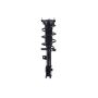 FCS Struts 1334438L Suspension Strut and Coil Spring Assembly