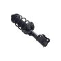 FCS Struts 1334438L Suspension Strut and Coil Spring Assembly
