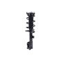 FCS Struts 1334438R Suspension Strut and Coil Spring Assembly