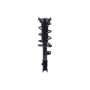 FCS Struts 1334438R Suspension Strut and Coil Spring Assembly