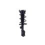 FCS Struts 1334466L Suspension Strut and Coil Spring Assembly