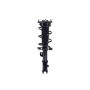 FCS Struts 1334466L Suspension Strut and Coil Spring Assembly