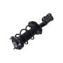 FCS Struts 1334466L Suspension Strut and Coil Spring Assembly