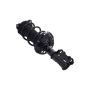 FCS Struts 1334466L Suspension Strut and Coil Spring Assembly