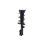 FCS Struts 1334466R Suspension Strut and Coil Spring Assembly