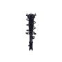FCS Struts 1334466R Suspension Strut and Coil Spring Assembly