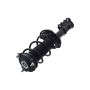FCS Struts 1334466R Suspension Strut and Coil Spring Assembly